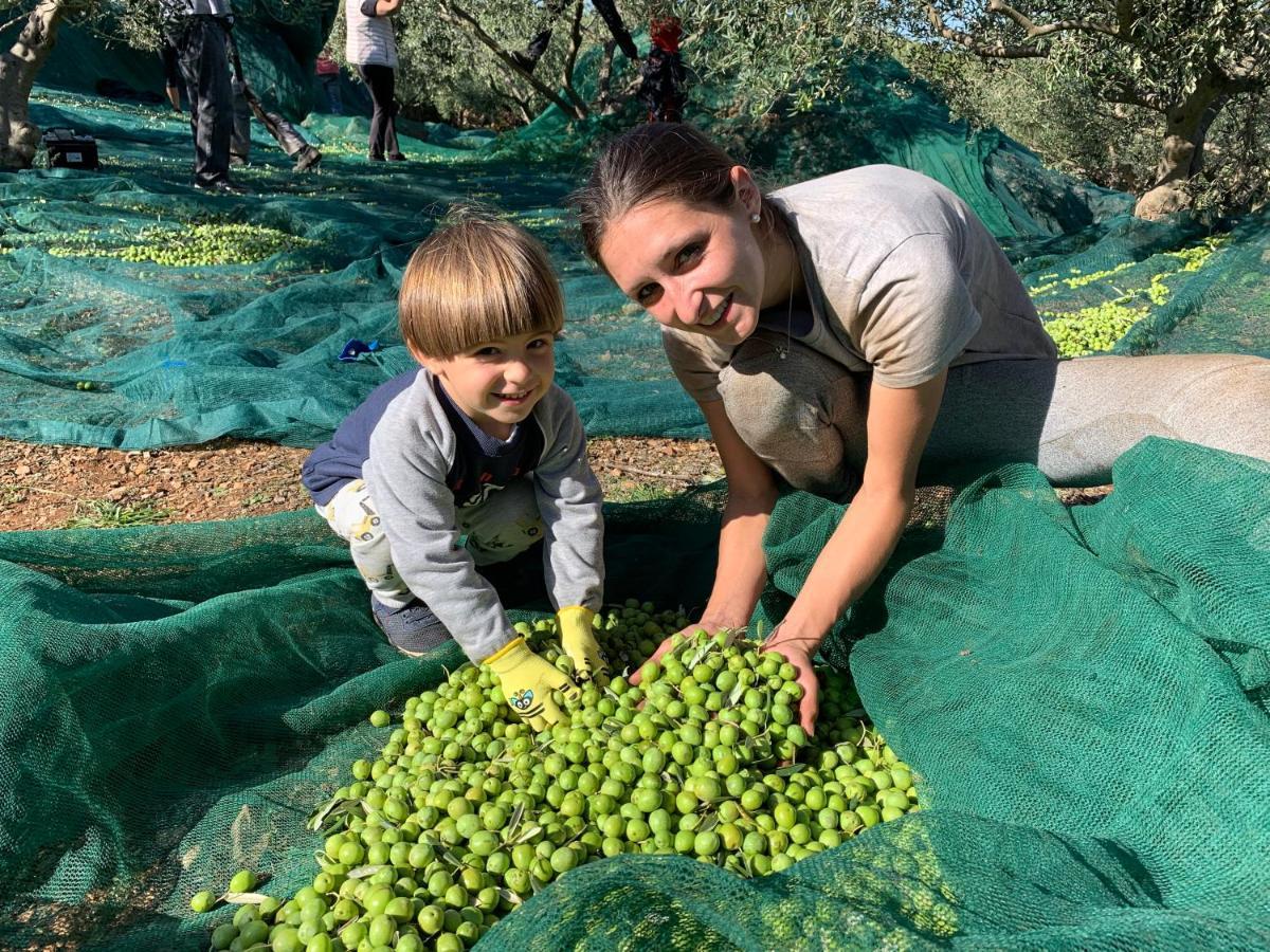 הוילה Prvacina Maxi Sonce, Odprte Vasi מראה חיצוני תמונה